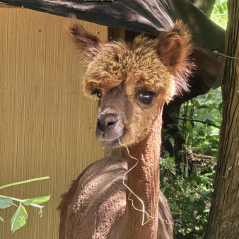 30cdccf362a107917c6a7e0aa9f74c38 (1)